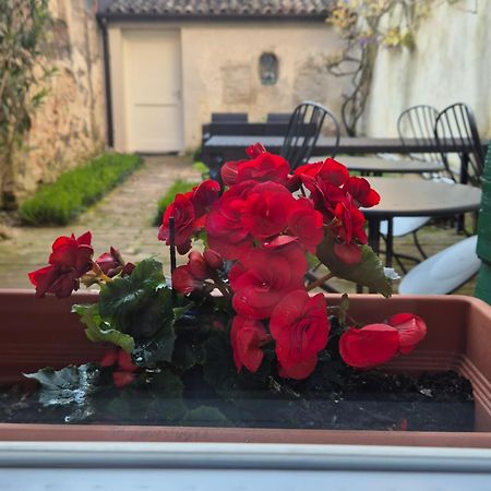 19 Borgo Cavour Treviso Exterior foto