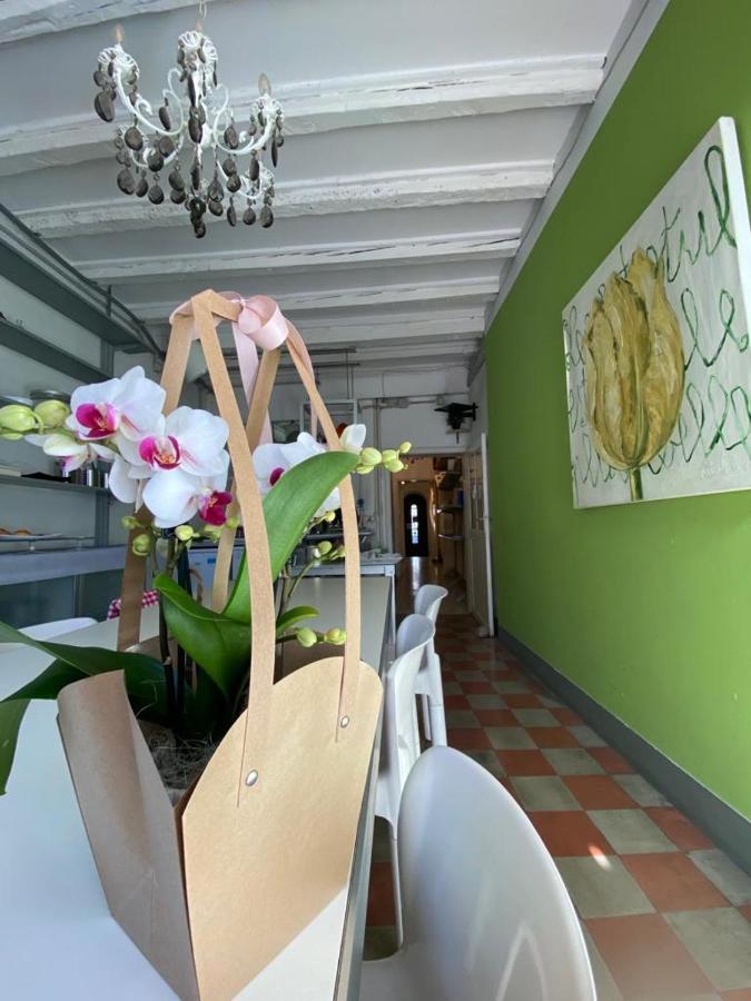 19 Borgo Cavour Treviso Exterior foto