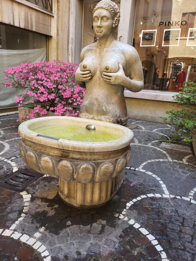 19 Borgo Cavour Treviso Exterior foto